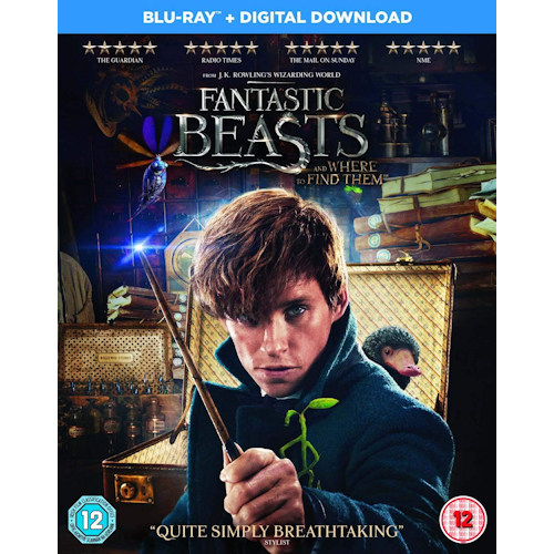 MOVIE - FANTASTIC BEASTS AND WHERE TO FIND THEM -BLRY UK-FANTASTIC BEASTS AND WHERE TO FIND THEM -BLRY UK-.jpg